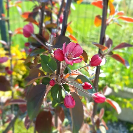 Дом отдыха Villetta Rewal Реваль